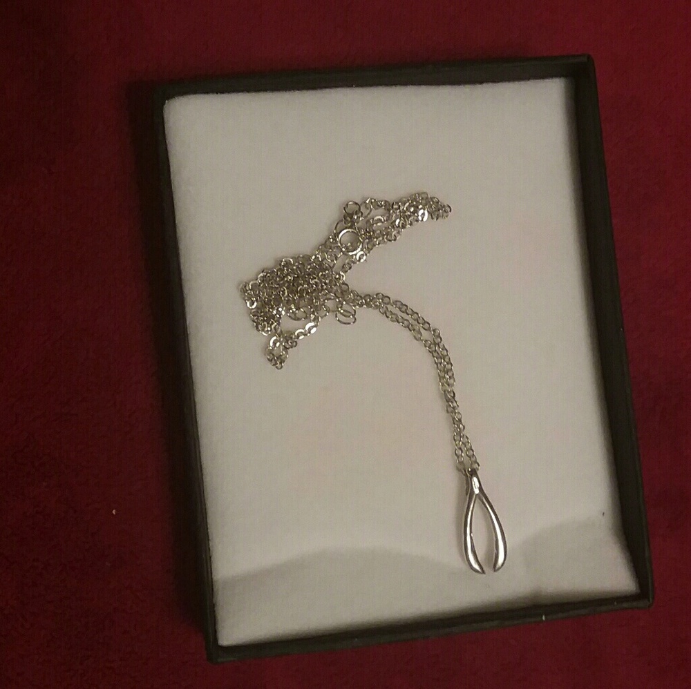 NWT Silver Wishbone Necklace